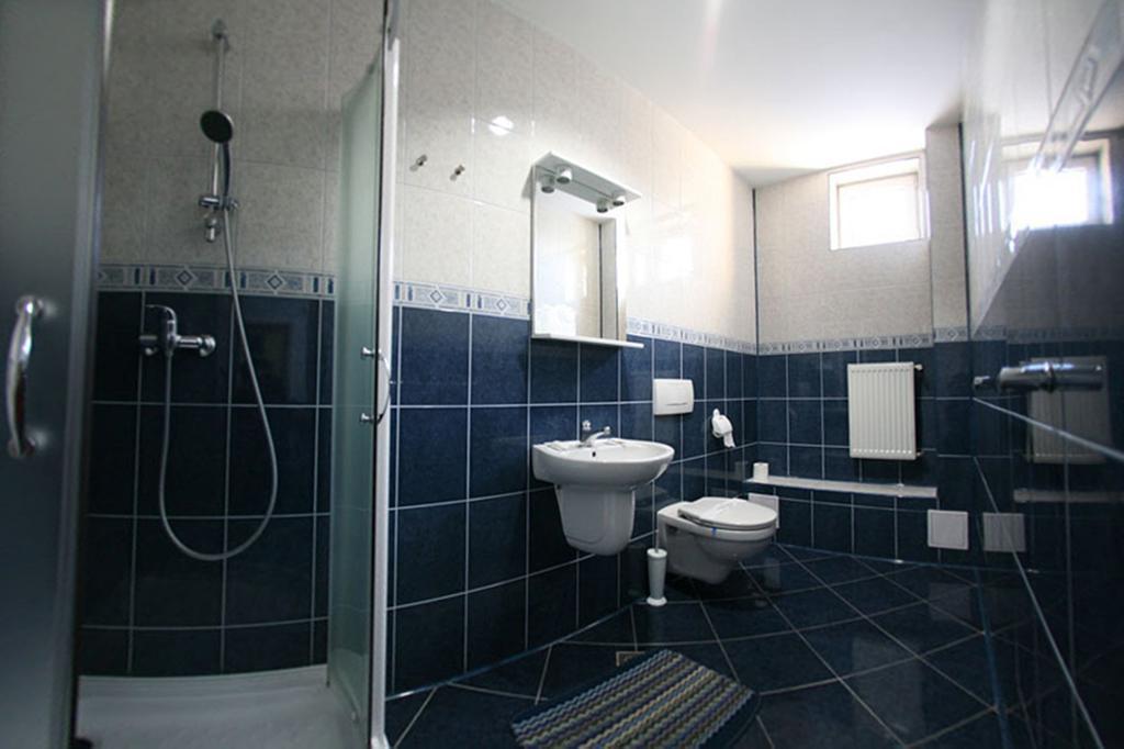 Pensiunea Soferul Norocos Bacău Room photo
