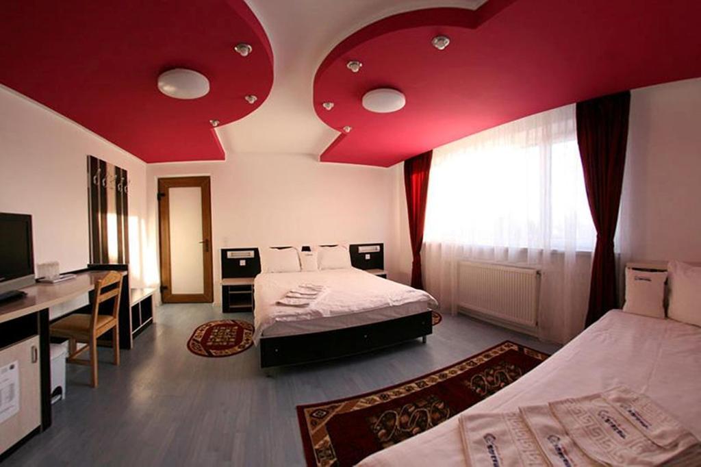 Pensiunea Soferul Norocos Bacău Room photo