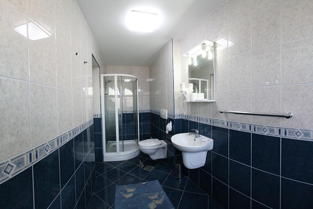 Pensiunea Soferul Norocos Bacău Room photo