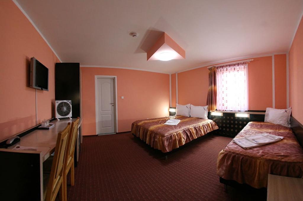 Pensiunea Soferul Norocos Bacău Room photo